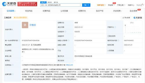 數(shù)字文化創(chuàng)意軟件開(kāi)發(fā) 融合科技與藝術(shù)的創(chuàng)新之路